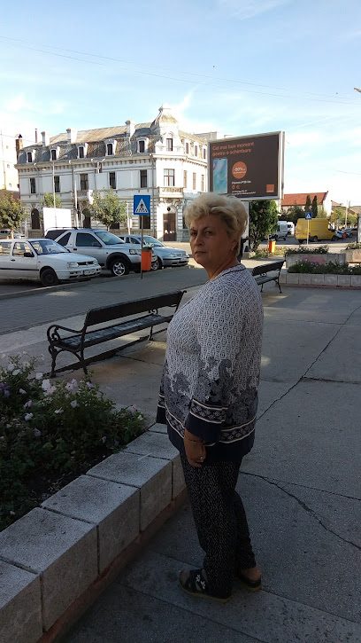 Turist Strada Victoriei 80