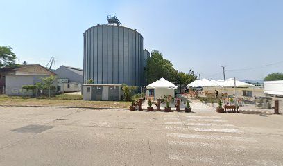 VSF Popa Antic SRL Langa baza de ceriale