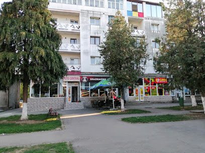 Willi e tare Strada Costache Negri