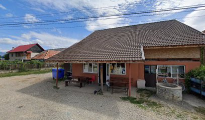 la primar Teleşti