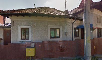 msm Strada Mihai Bravu