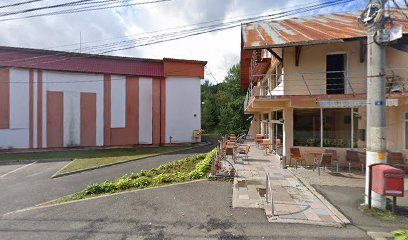 sc veress srl pensiunea elisabeta Strada 22 Decembrie