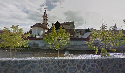 Лондон Toplița 535700